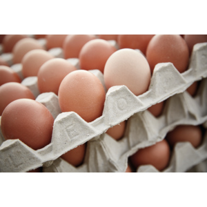 Eier Schweiz, Freiland, 53g+, 30 Stück