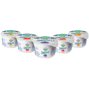 Cremo Jogurt Frucht assortiert, 20 x 100 g