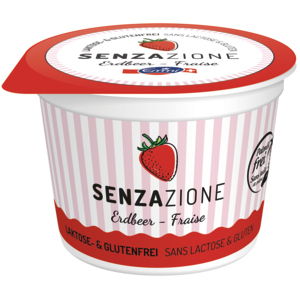 Emmi Senzazione Erdbeer, laktosefrei, 20 x 100 ml