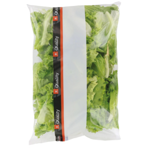 Quality Lollo grün gewaschen, gerüstet ganze Blätter, 500 g