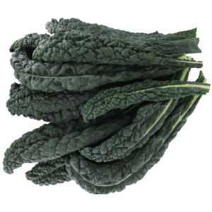 Premium Palmkohl / Schwarzkohl, 3 kg Premium Palmkohl / Schwarzkohl, 3 kg