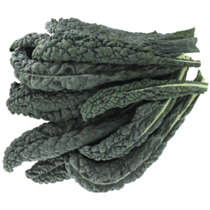 Premium Palmkohl / Schwarzkohl, gepackt, 500 g Premium Palmkohl / Schwarzkohl, gepackt, 500 g