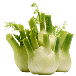 Fenchel 1-lagig, ca. 5 kg