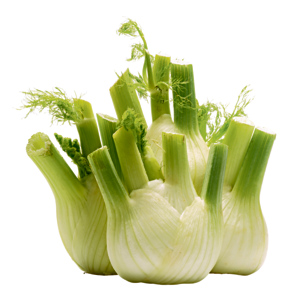 Natura Bio Fenchel, ca. 5 kg Natura Bio Fenchel, ca. 5 kg