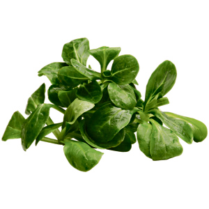 Nüsslisalat, Inland, 1 kg Nüsslisalat, Inland, 1 kg