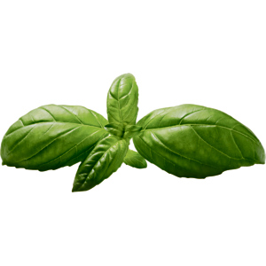 Basilikum, 250 g