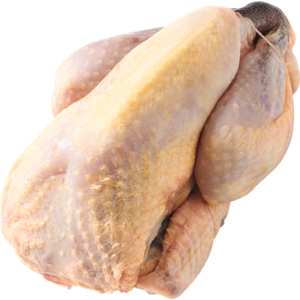 Origine Freiland Perlhuhn, Bourgogne, Frankreich, 2 x ca.1,5 kg KT