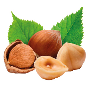 Haselnusskerne ganz, 25 kg Haselnusskerne ganz, 25 kg