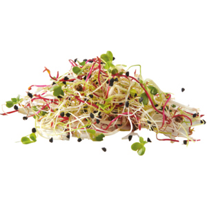 Fleursprossen, 100 g