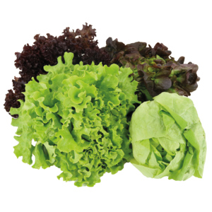 Blattsalate assortiert spez. 3 Saisonblattsalate, 3,5 kg Blattsalate assortiert spez. 3 Saisonblattsalate, 3,5 kg
