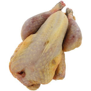 Perlhuhn, Frankreich, 1-1,3kg Perlhuhn, Frankreich, 1-1,3kg