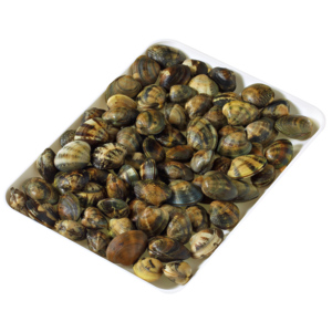 Vongole veraci, 10 x 500 g