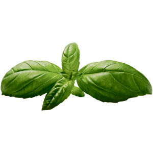 Natura Bio Basilikum, 250 g Natura Bio Basilikum, 250 g