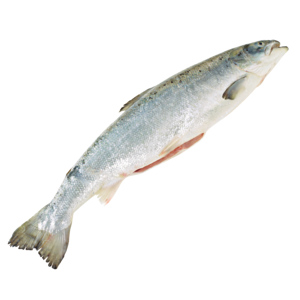 Quality Lachs, ca. 3 - 4 kg vac