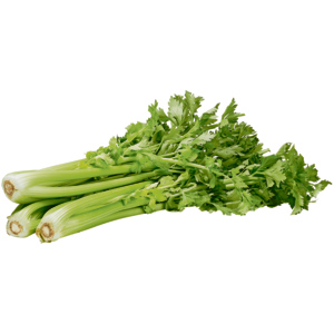 Sedano con gamgo, 1 - 2 pz / ca. 800 g