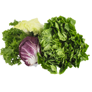 Salate assortiert 4-5 Saisonsalate, 5 kg Salate assortiert 4-5 Saisonsalate, 5 kg