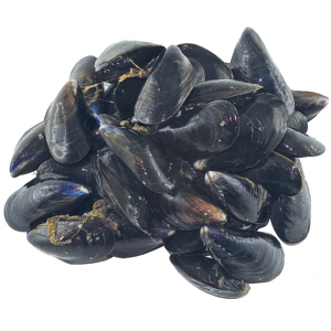 Miesmuscheln Spanien, 35/40, 2 kg Miesmuscheln Spanien, 35/40, 2 kg