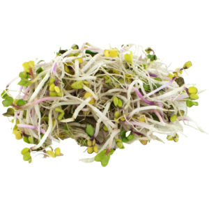 Radieslisprossen, 100 g Radieslisprossen, 100 g