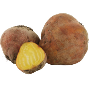 Premium Randen gelb roh, ca. 1,5 kg Premium Randen gelb roh, ca. 1,5 kg