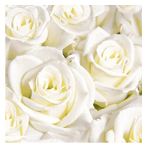 Dunisoft Servietten, 40 x 40 cm, White Dreams, 60 St Dunisoft Servietten, 40 x 40 cm, White Dreams, 60 St