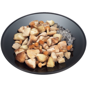 Picosa Pilzmischung Standard, TK, 2 x 1 kg Picosa Pilzmischung Standard, TK, 2 x 1 kg