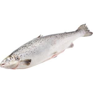 Swiss Lachs, ca. 2 - 3 kg