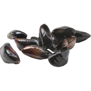 Miesmuschel Corde 1,4kg Miesmuschel Corde 1,4kg
