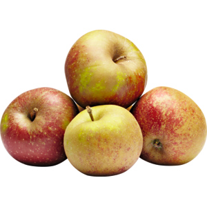 Apfel Boskoop Klasse II, 6 kg