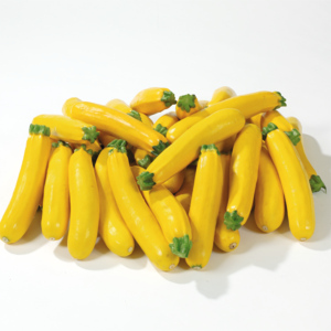 Zucchetti gelb, 5 kg