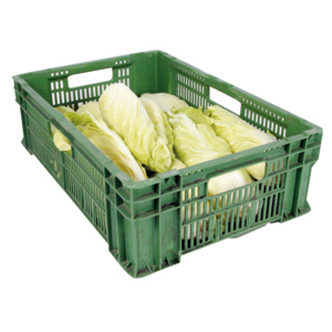 Zuckerhut, ca. 5 kg Zuckerhut, ca. 5 kg