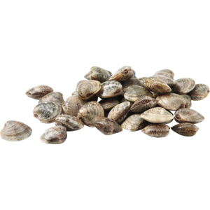 MSC Vongole, klein, 500 g MSC Vongole, klein, 500 g