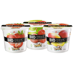 Biedermann Bio Jogurt assortiert, laktosefrei, 10 x 125 g