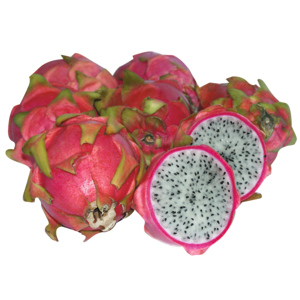 Pitahaya einzeln Pitahaya einzeln