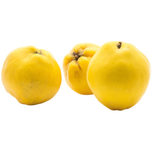Quitten, ca. 2,5 kg Quitten, ca. 2,5 kg