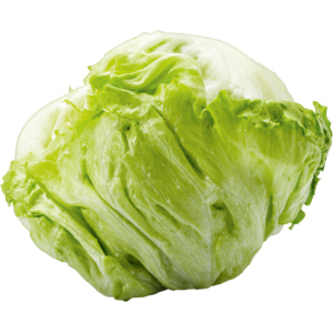 Eisberg Salat, 12 St Eisberg Salat, 12 St