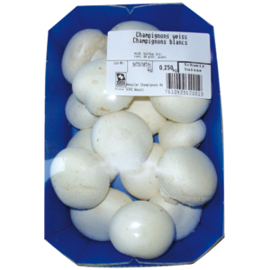 Champignons weiss, frisch, 250 g Champignons weiss, frisch, 250 g