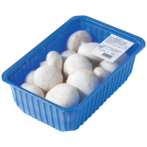 Riesenchampignons weiss Grilletto, frisch, 800 g