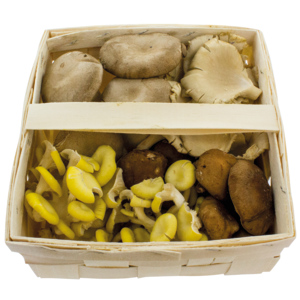 Mischpilze 4 Sorten ohne Champignons, frisch, 1 kg Mischpilze 4 Sorten ohne Champignons, frisch, 1 kg