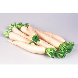 Bierrettich, gepackt, 2 St, ca. 1,2 kg Bierrettich, gepackt, 2 St, ca. 1,2 kg