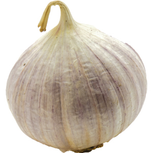 Knoblauch Super Solo, gepackt, 500 g