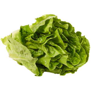 Lattich 2 - 3 St, gepackt, ca. 300 g