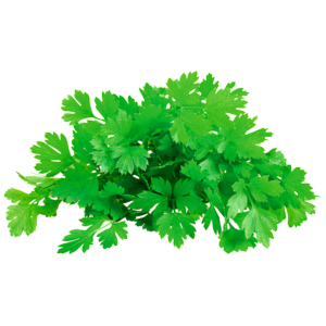 Petersilie Liscio, 250 g Petersilie Liscio, 250 g