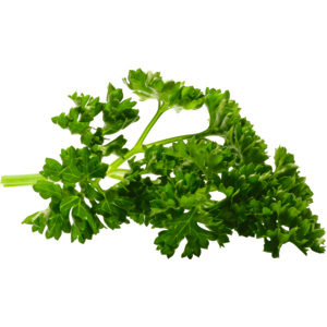 Petersilie offen 250 g + 1 Bund Schnittlauch 100 g Petersilie offen 250 g + 1 Bund Schnittlauch 100 g