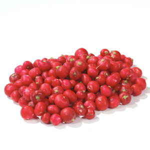 Radiesli mit ca. 2 cm Laubansatz, 250 g Radiesli mit ca. 2 cm Laubansatz, 250 g