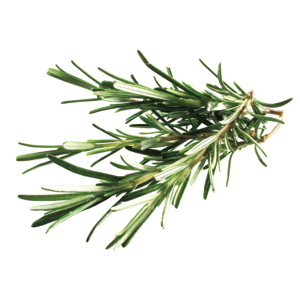 Rosmarin, 50 g