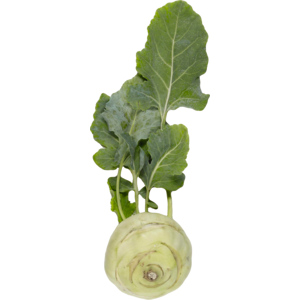 Rüebkohl / Kohlraben mit Laub, 10 St Rüebkohl / Kohlraben mit Laub, 10 St