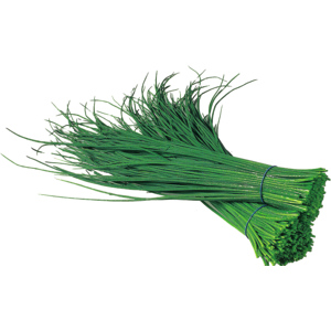 Schnittlauch gebündelt, 2 Bund à 100 g Schnittlauch gebündelt, 2 Bund à 100 g