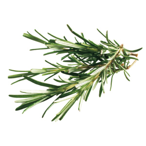Rosmarin, 250 g Rosmarin, 250 g