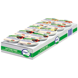 Züger Jogurt assortiert, laktosefrei, 10 x 90 g