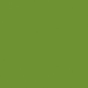 Duni Servietten leaf green, 33 x 33 cm, 20 St Duni Servietten leaf green, 33 x 33 cm, 20 St